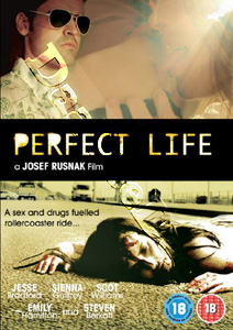Perfect Life (DVD)